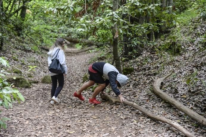 ALUMNOS IES PEREZ GALDOS EN OSORIO