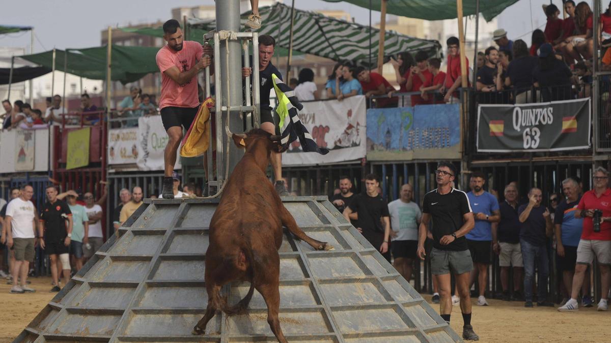 Tarde de vaquillas en el recinto taurino de las fiestas de Sagunt.
