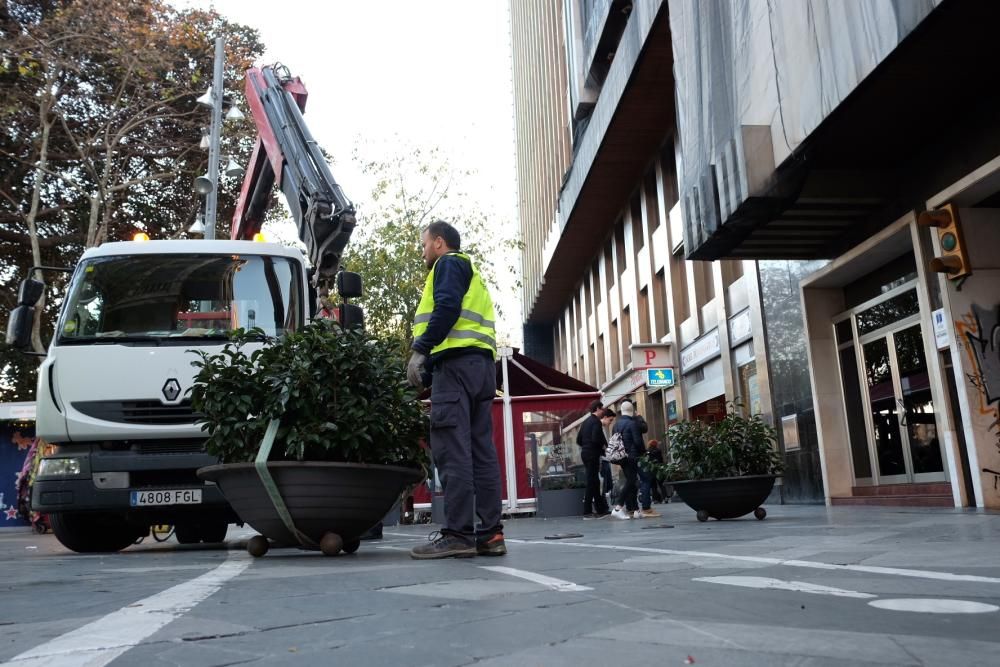 Autobarrieren am Borne-Boulevard in Palma