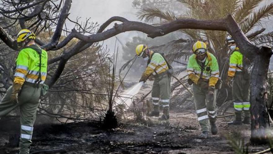 Una imagen de la brigada forestal sofocando los últimos rescoldos de uno de los incendios declarado estos días en Guardamar.