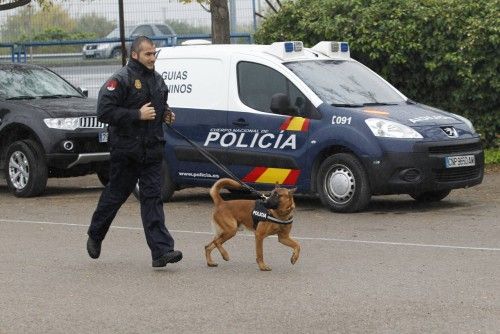 Exhibición de la unidad de Guías Caninos del Cuerpo Nacional de Policía en Murcia