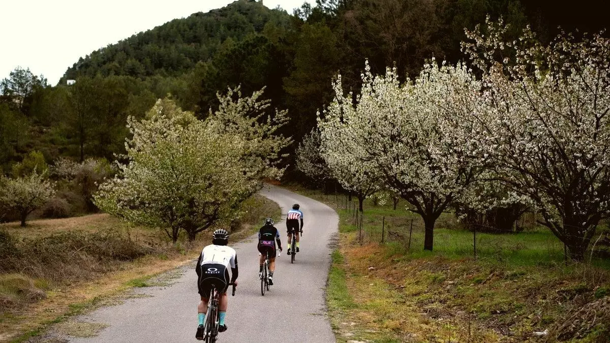 Cicloturismo mediterráneo: Descubre Castellón a tu propio pedaleo