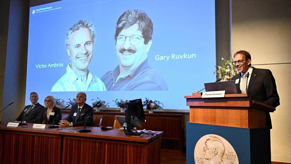 El Nobel de Medicina premia a Victor Ambros y Gary Ruvkun, por su descubrimiento del microARN
