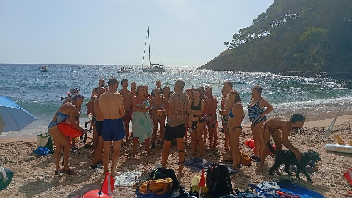 Els participants a la jornada per a protegir la posidònia.