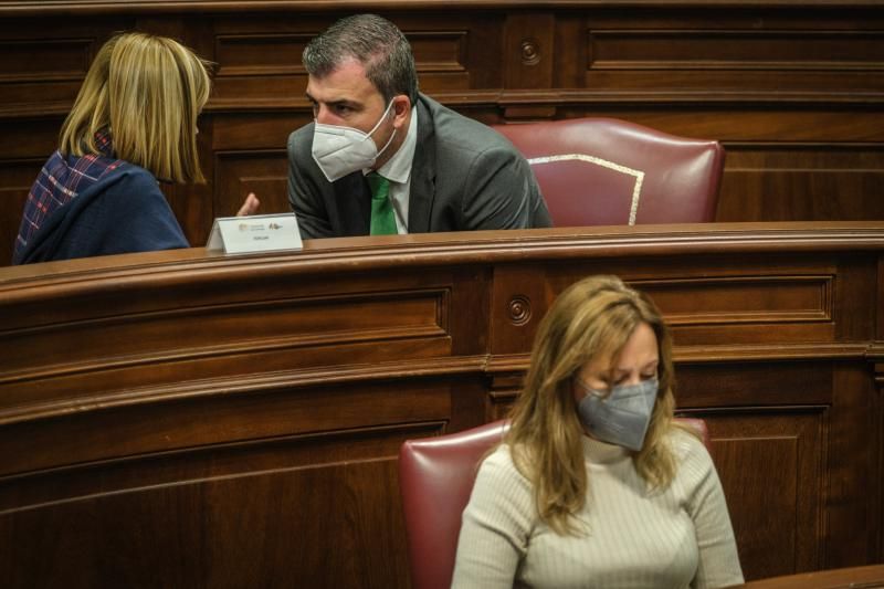 Pleno del Parlamento de Canarias, 20/01/2022