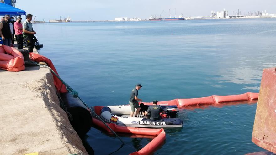 Los perros de la Guardia Civil encuentran un rastro bajo el casco del buque volcado en Castelló