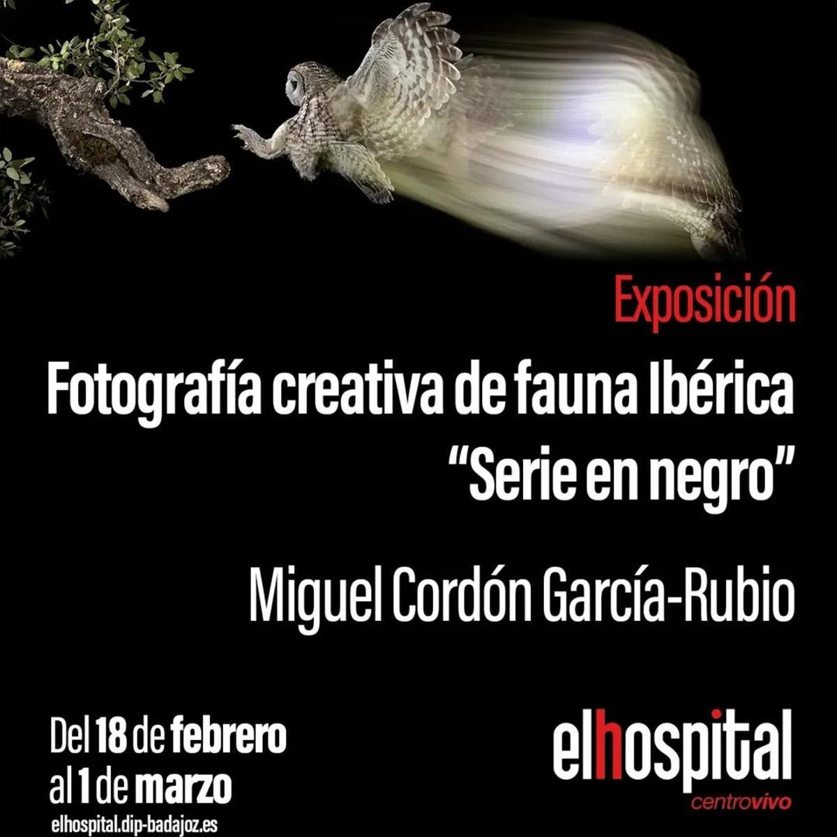 Exposición Fotografía creativa de fauna ibérica "Serie en negro"