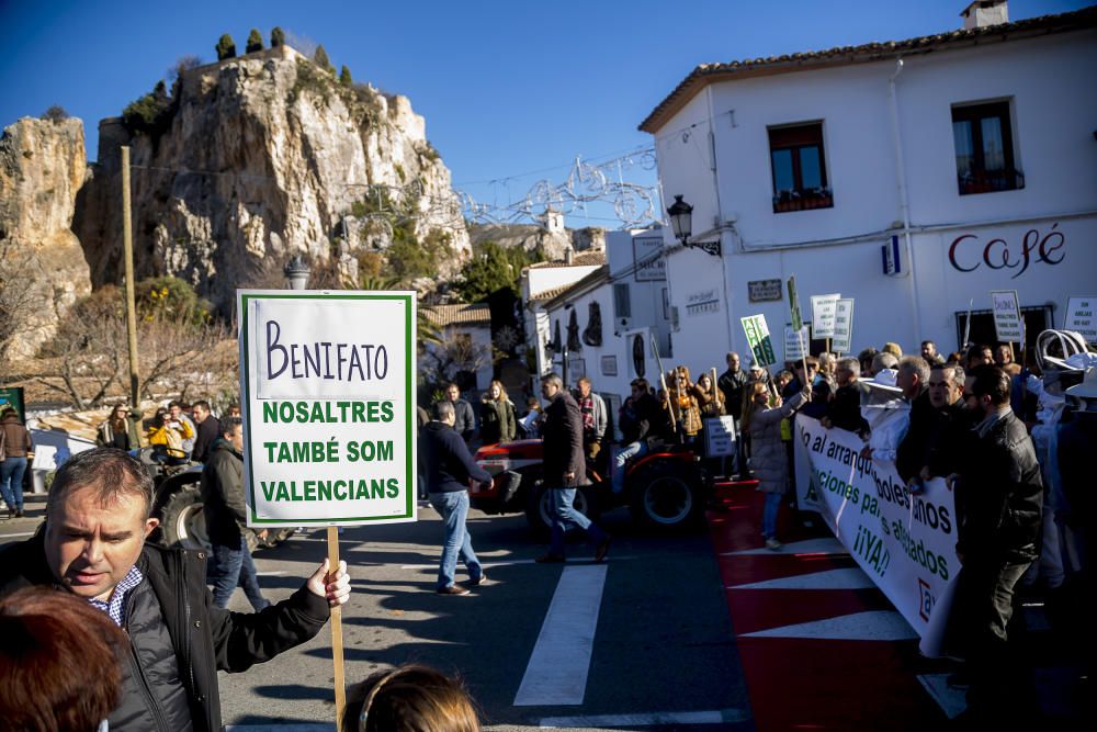 Agricultores de la provincia se manifiestan contra el plan de erradicación de la Xylella del Consell