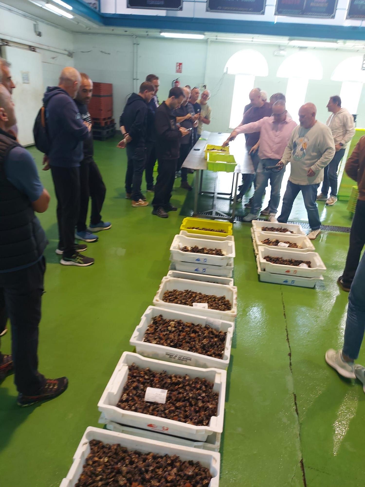 En imágenes: La primera subasta de percebe de la temporada en la rula de Puerto de Vega