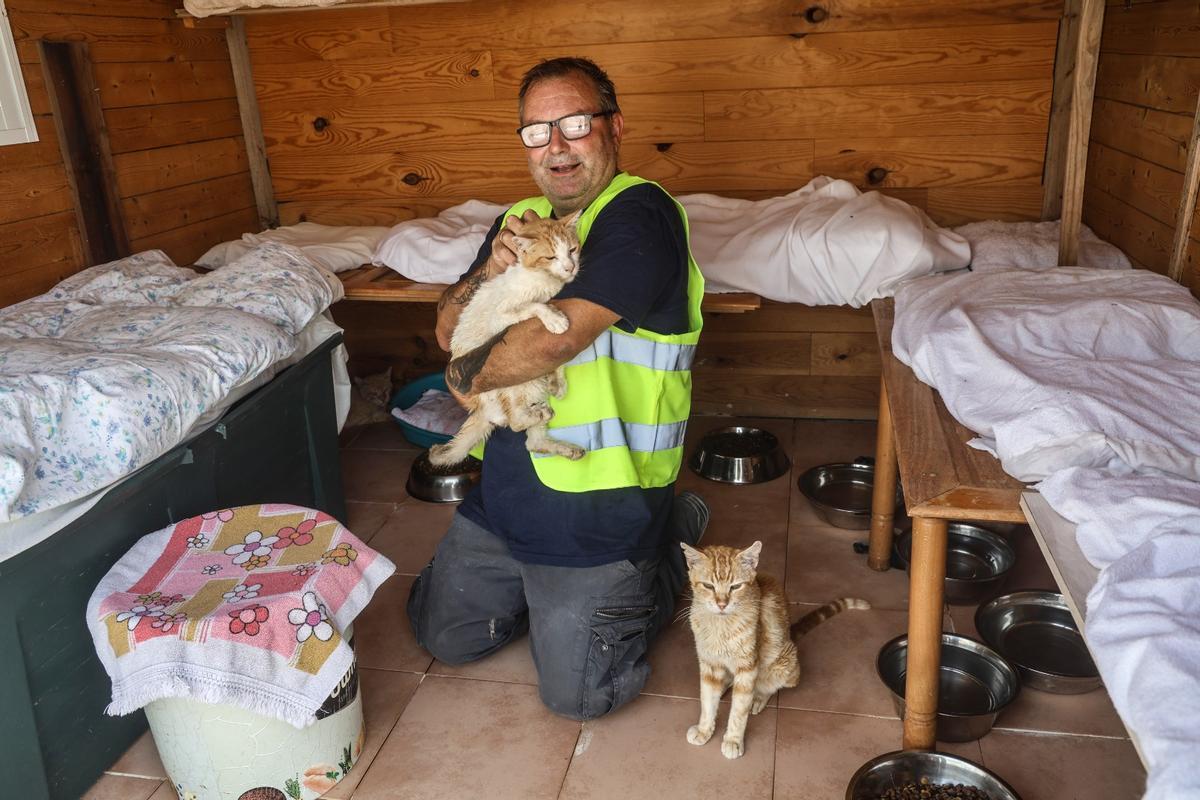 En riesgo el futuro de 400 gatos de Alicante debido a la delicada situación de su protectora