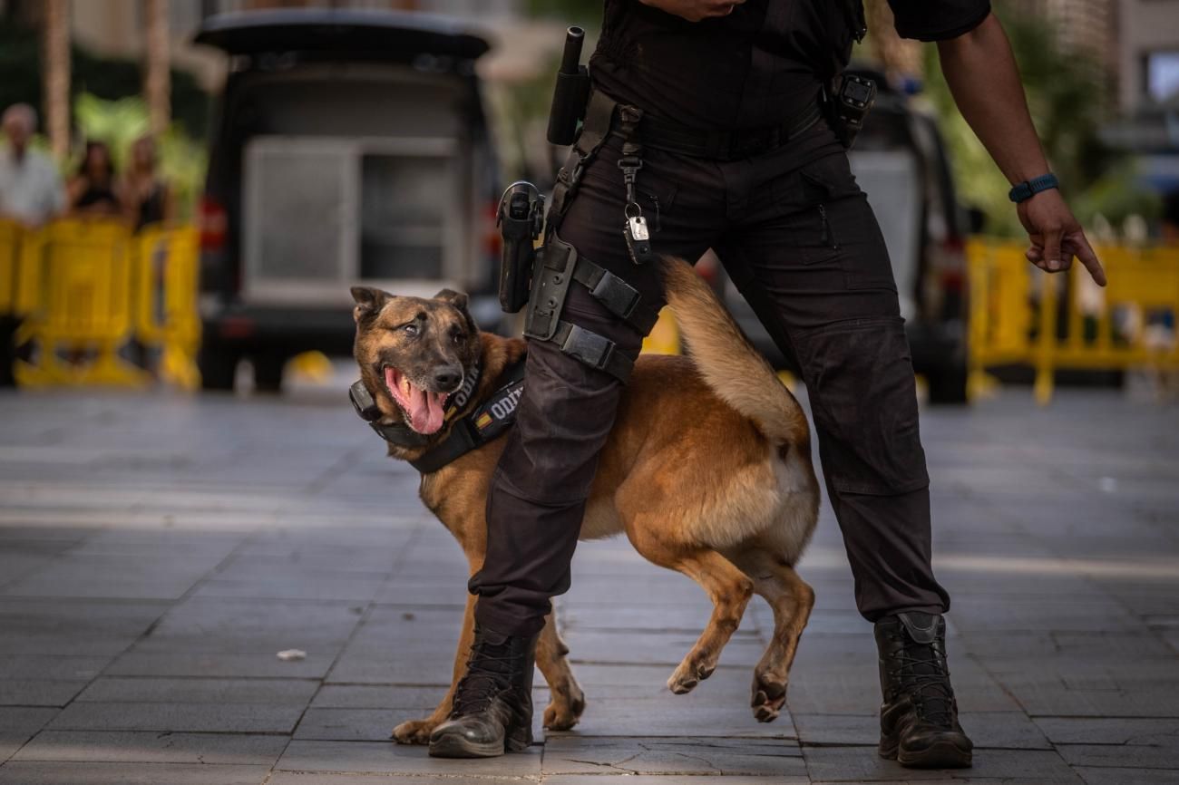 Apertura jornadas 25 aniversario Unidad Canina de la Policía Local