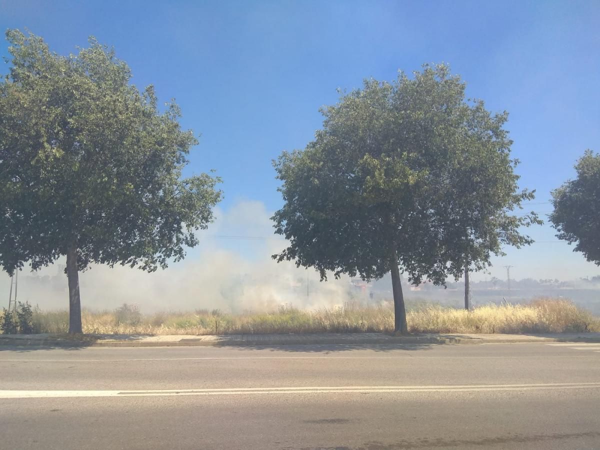 Incendio de pastos en la Ronda Norte de Badajoz