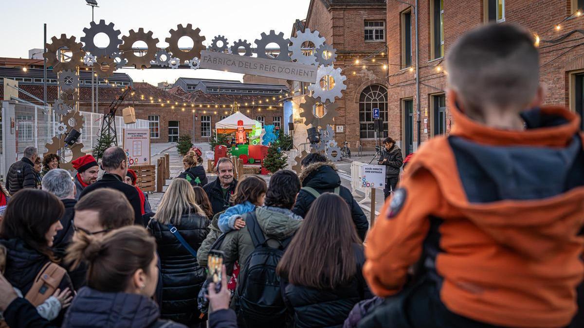 View of Essential Grooming Tips for Dogs with Double Coats