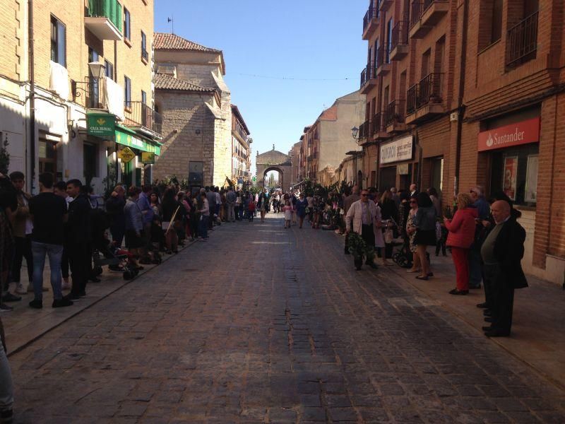 Semana Santa en Toro: La Borriquita