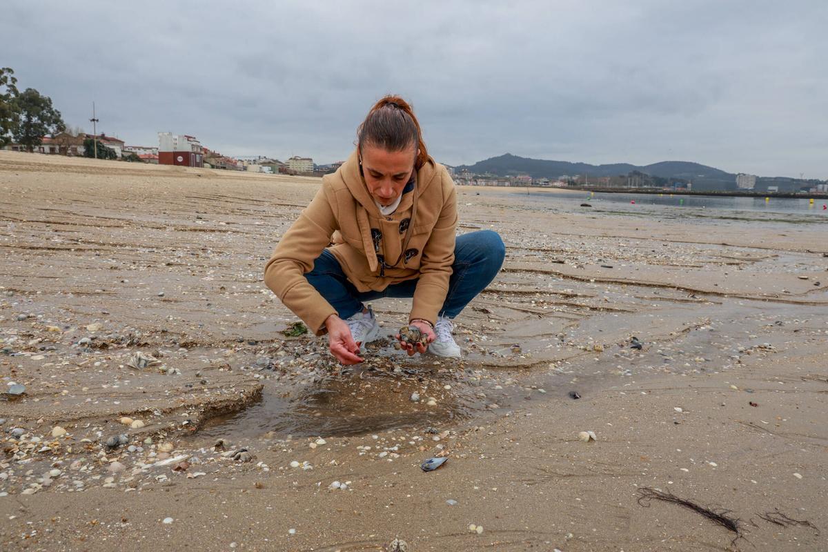 Marisco muerto en la playa de Vilagarcía, ayer.