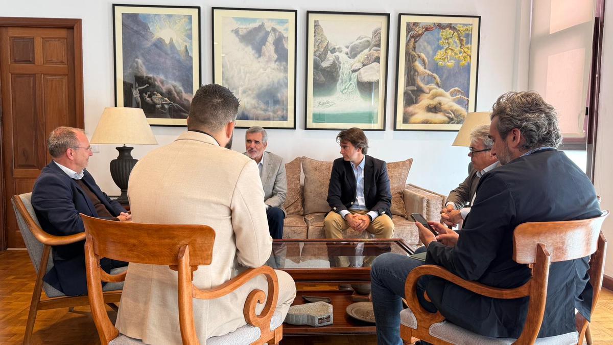 Un momento de la reunión mantenida en la sede del Cabildo de La Palma.