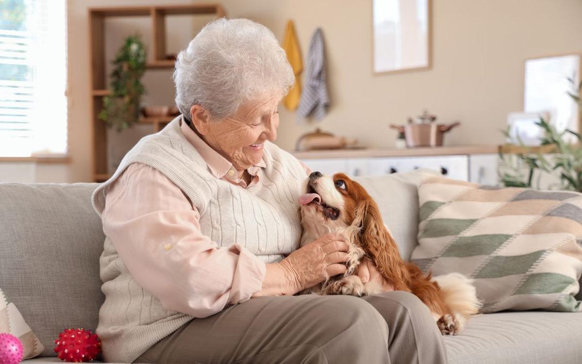 Imagen genérica de una persona mayor con su mascota.
