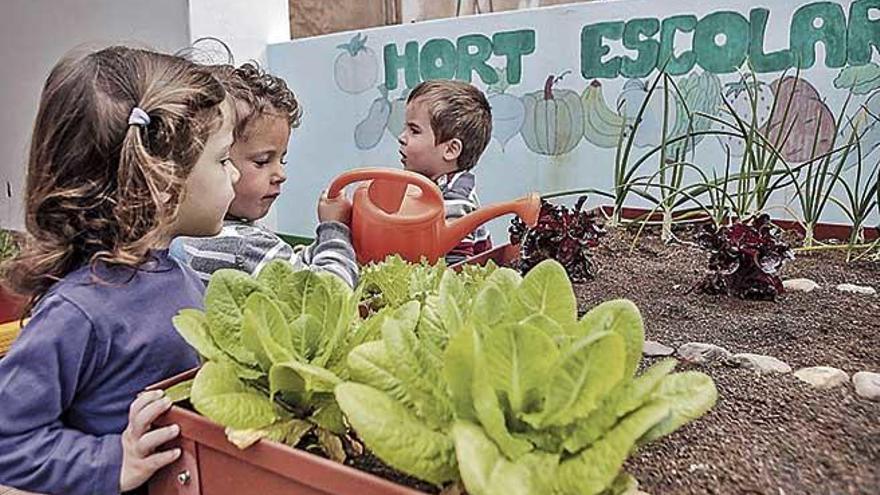 Las guarderías podrán homologarse como centros educativos de 0 a 3 años.