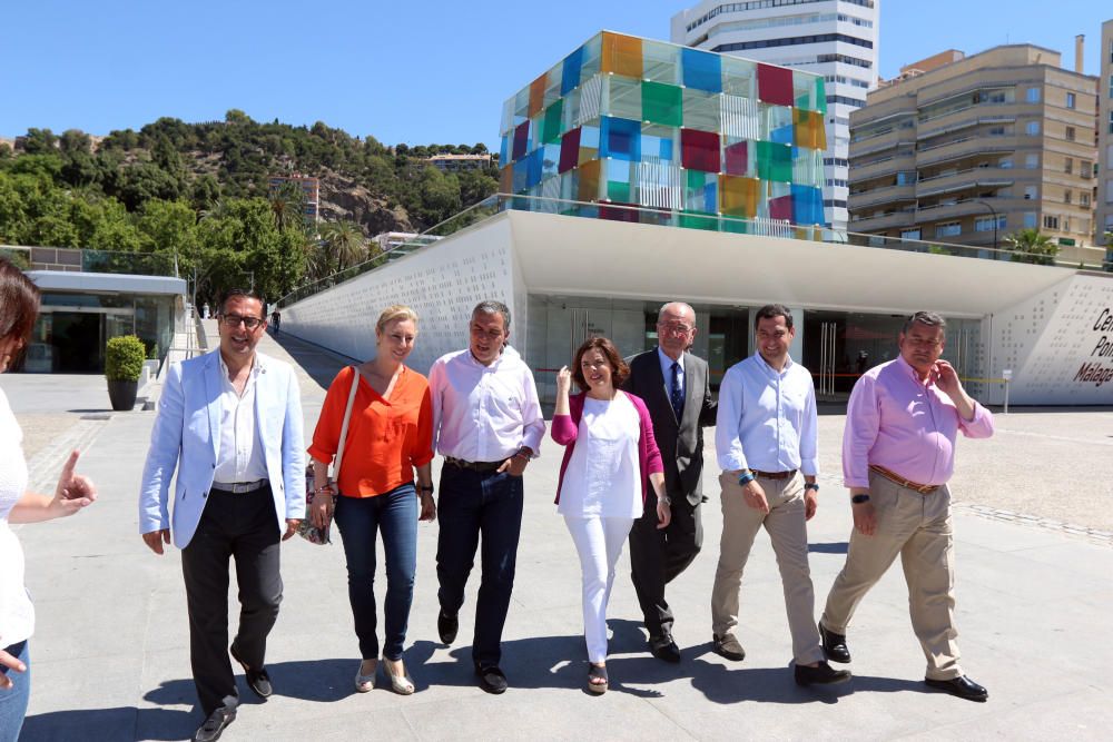 Sáenz de Santamaría participa en la suelta de una tortuga en Málaga