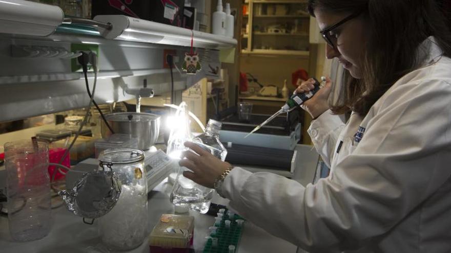 Un laboratorio del Instituto de Neurociencias.