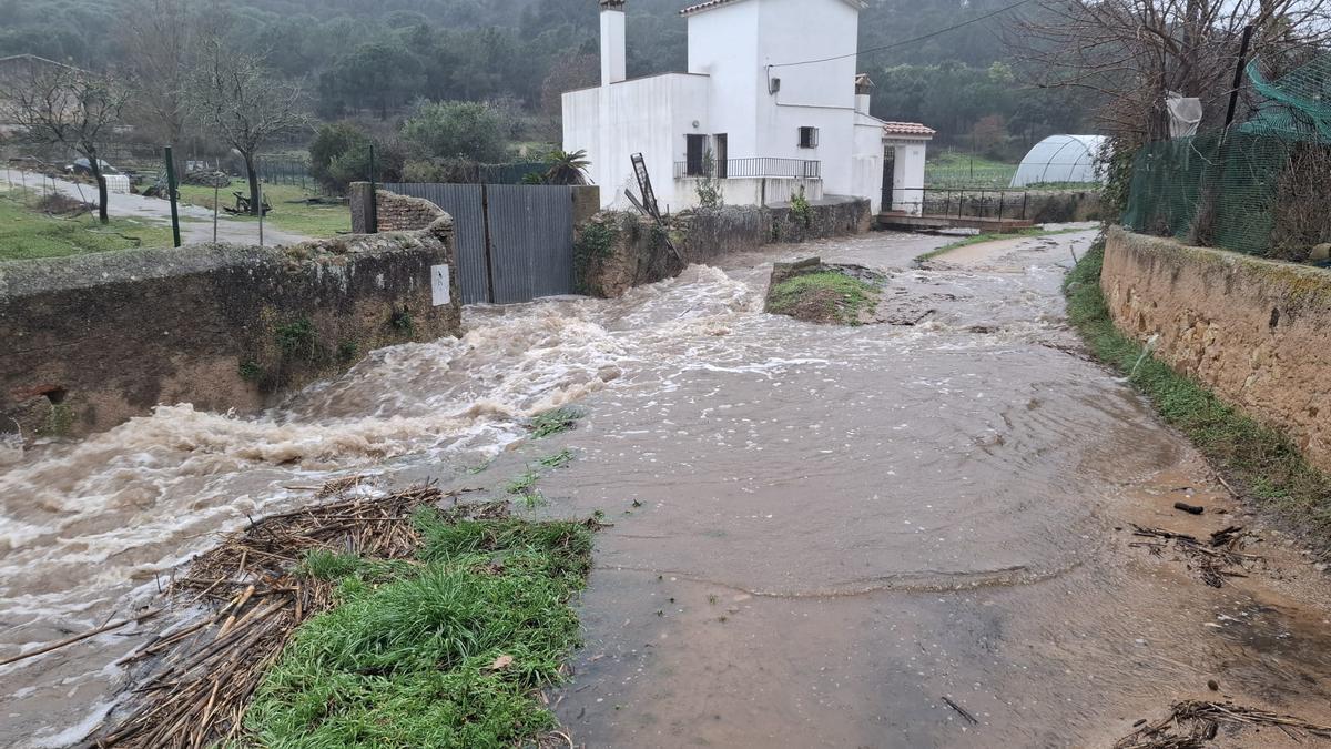 Les fotos dels efectes de la llevantada a les comarques gironines