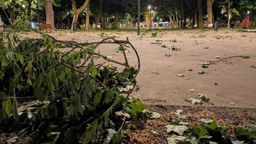 Detenido en Avilés un joven con antecedentes por un violento asalto a un viandante para robarle el móvil en el Parque del Muelle