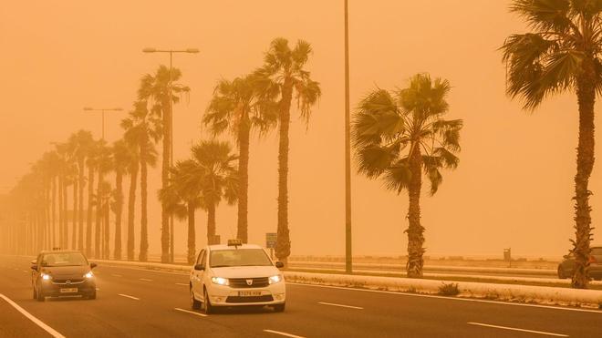 La calima en imágenes: lluvia de sangre y polvo sahariano