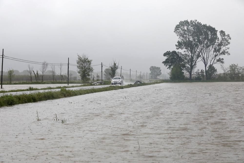 Camps inundats a Serra de Daró