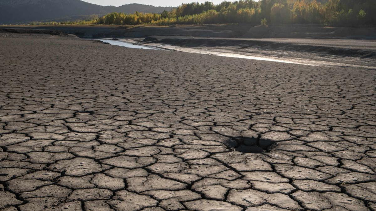 En 2050, la falta de agua podría afectar a 5.000 millones de personas.