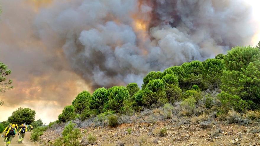 Incendio en Las Hurdes esta tarde e intervención de los agentes forestales.