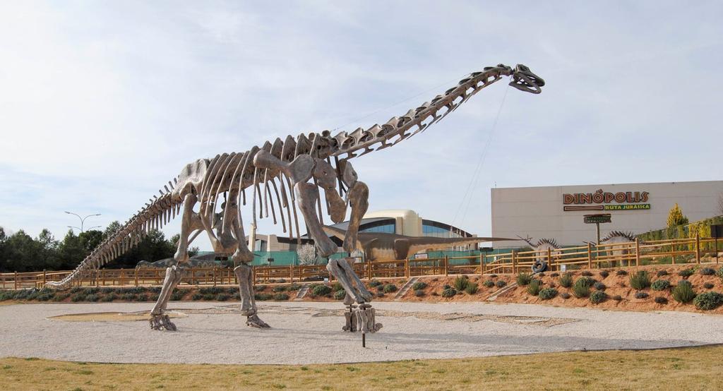 Esqueleto completo Turiasaurus Tierra Magna Dinópolis
