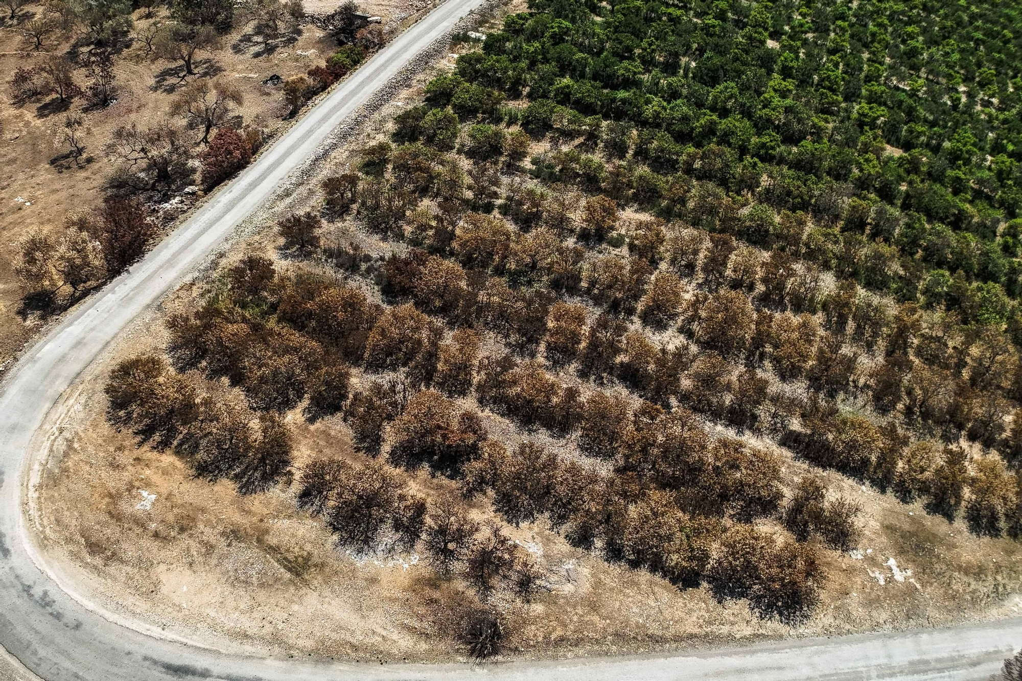 Les fotos de l'incendi de Paüls a vista de dron