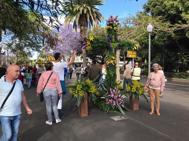 Concurso de Cruces de Flores Naturales