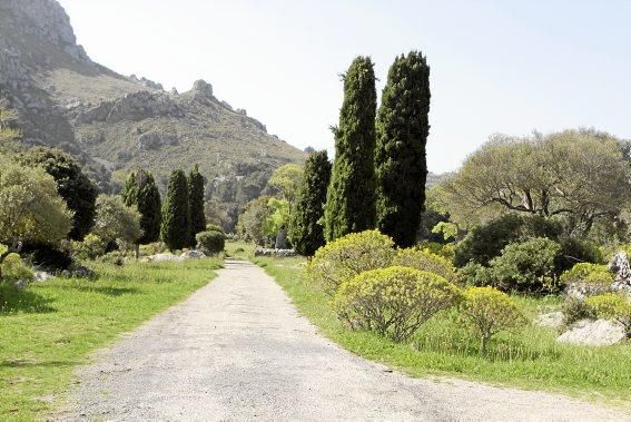 In Ariant blühen die mediterranen Pflanzen um die Wette. In dem von Heidi Gildemeister entworfenen Garten wird vieles den Launen der Natur und dem Zufall überlassen. Aber nicht alles.