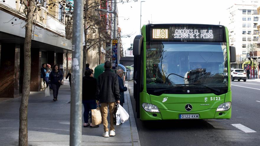 El uso de la línea 8 de los autobuses de Cáceres se dispara y llega a los 1,2 millones de viajes