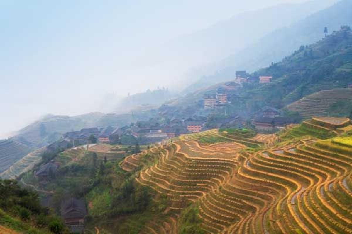 Terrazas de arroz de Longshen.
