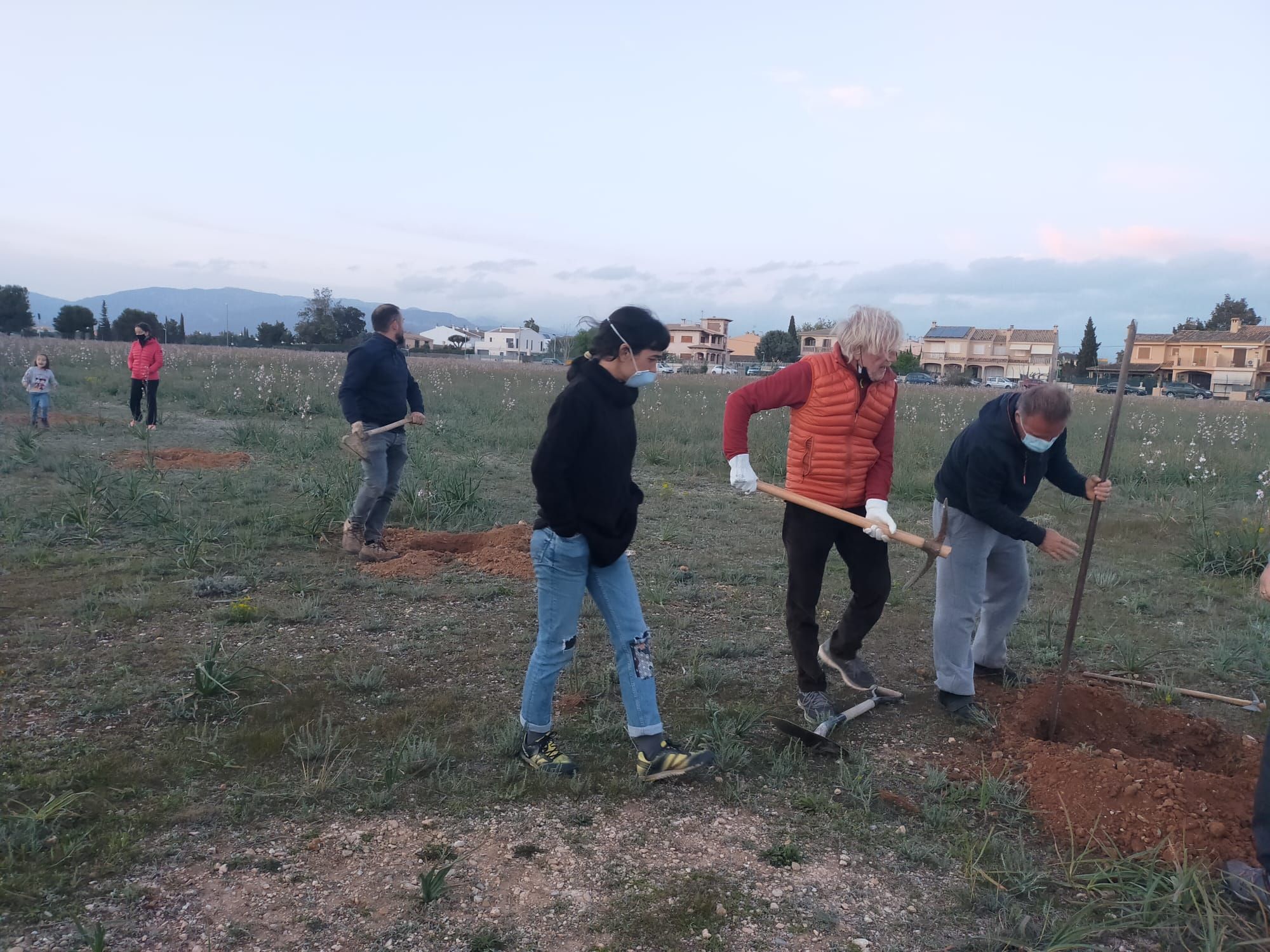 Vecinos de Marratxí plantan pinos en el solar donde Aena proyecta el parque solar