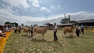 Cita histórica del Concurso de Ganado de Llanera, que celebra 50 años: "Que este sea el fin de semana más feliz del año para los que estáis aquí”