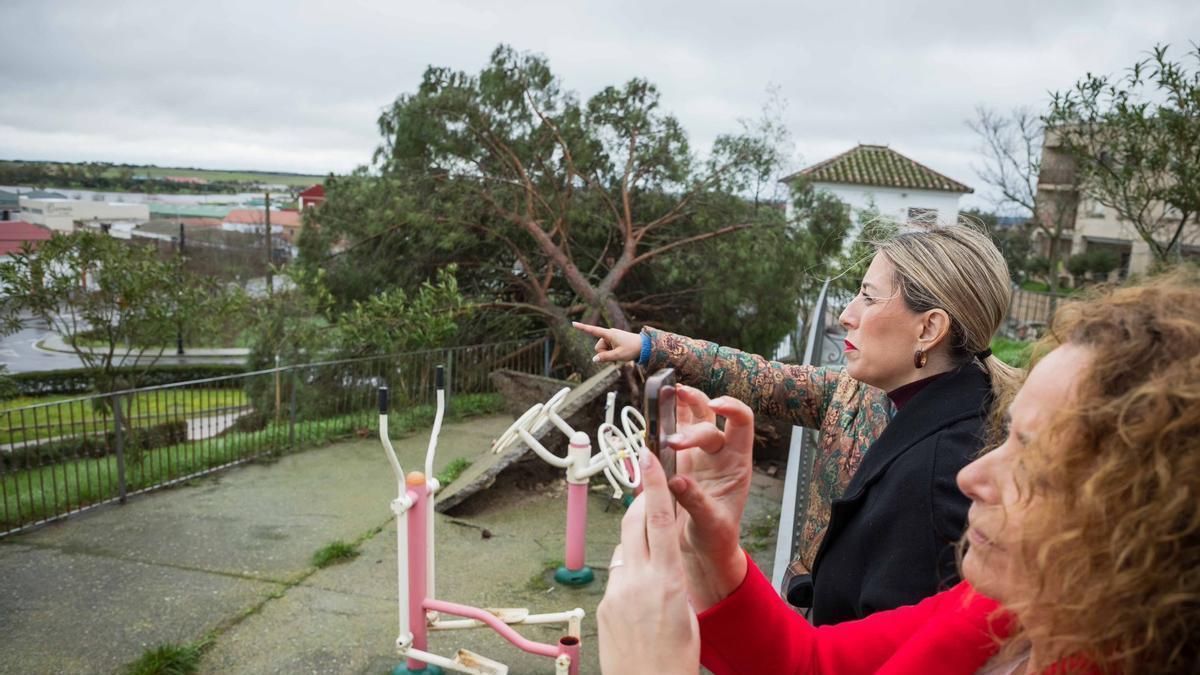 María Guardiola, presidenta de la Junta de Extremadura, visita Brozas tras la borrasca.