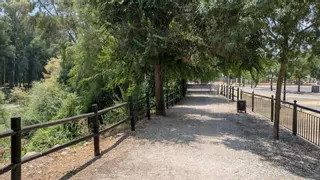 Un detenido por agredir y dejar heridos a dos policías locales en Palma del Río