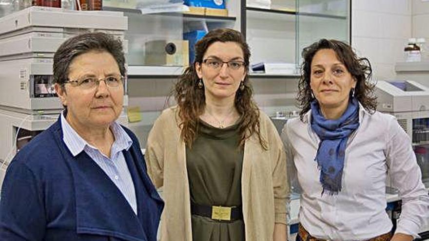 Las investigadoras Mª Inmaculada González, Isabel Revilla y Ana Mª Vivar Quintana.
