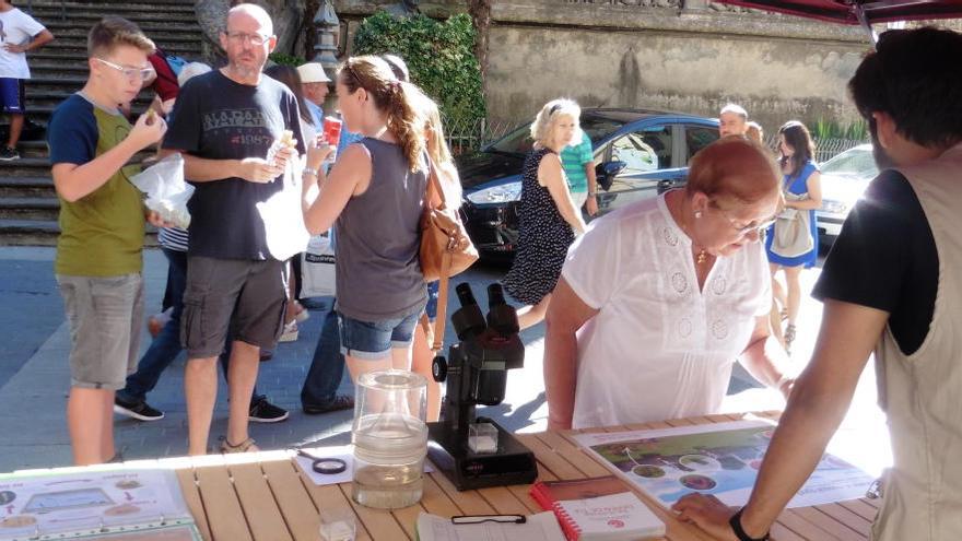 La parada sobre el mosquit tigre ahir al matí, a la plaça Rector Ferrer.