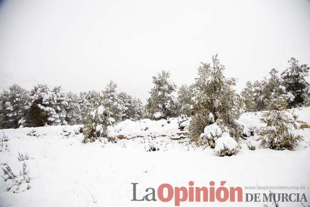 Temporal en el Noroeste (pedanías de El Moral y El