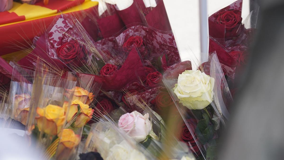 Rosas de Sant Jordi
