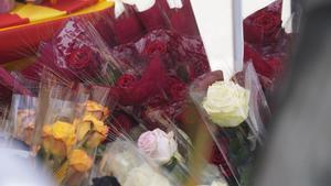 GIRONA RAMBLA CARRER NOU PLAÇA CATALUNYA PARADES LLIBRES ROSES DIADA DE SANT JORDI