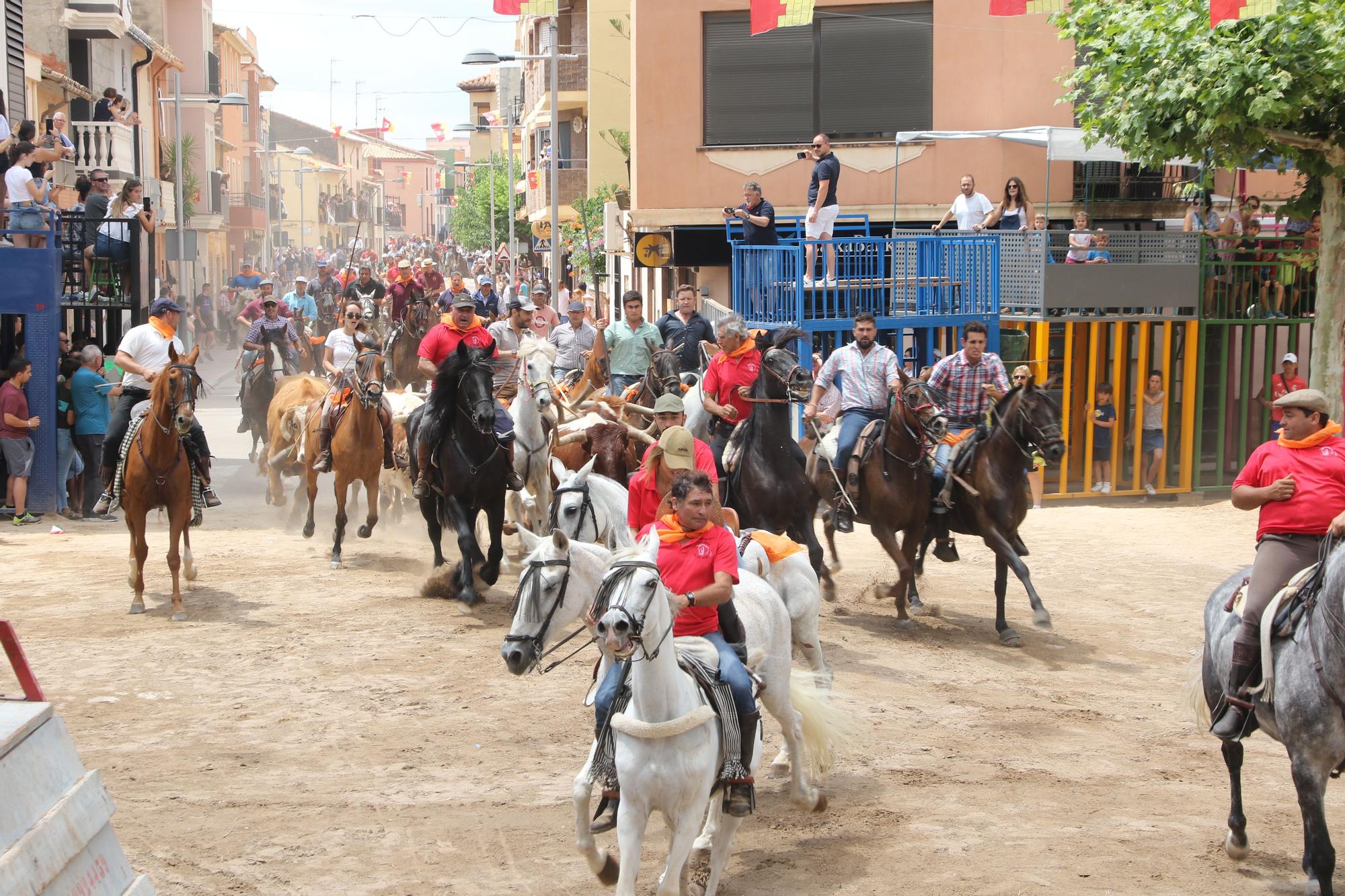 Revive el encierro campero de Sant Joan de Moró