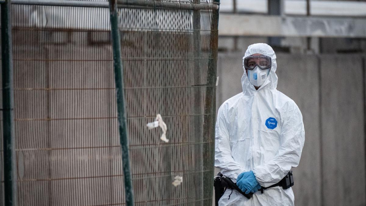 Protocolo en el 'crucero del hantavirus' MV Hondius, en el puerto de Granadilla, durante el brote de Hantavirus.