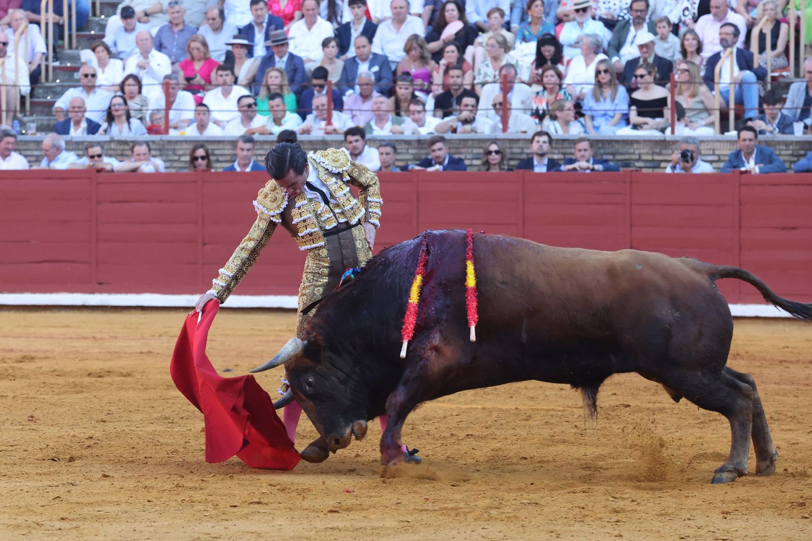 Román toma la alternativa y la puerta grande se abre para Roca Rey y Ortega