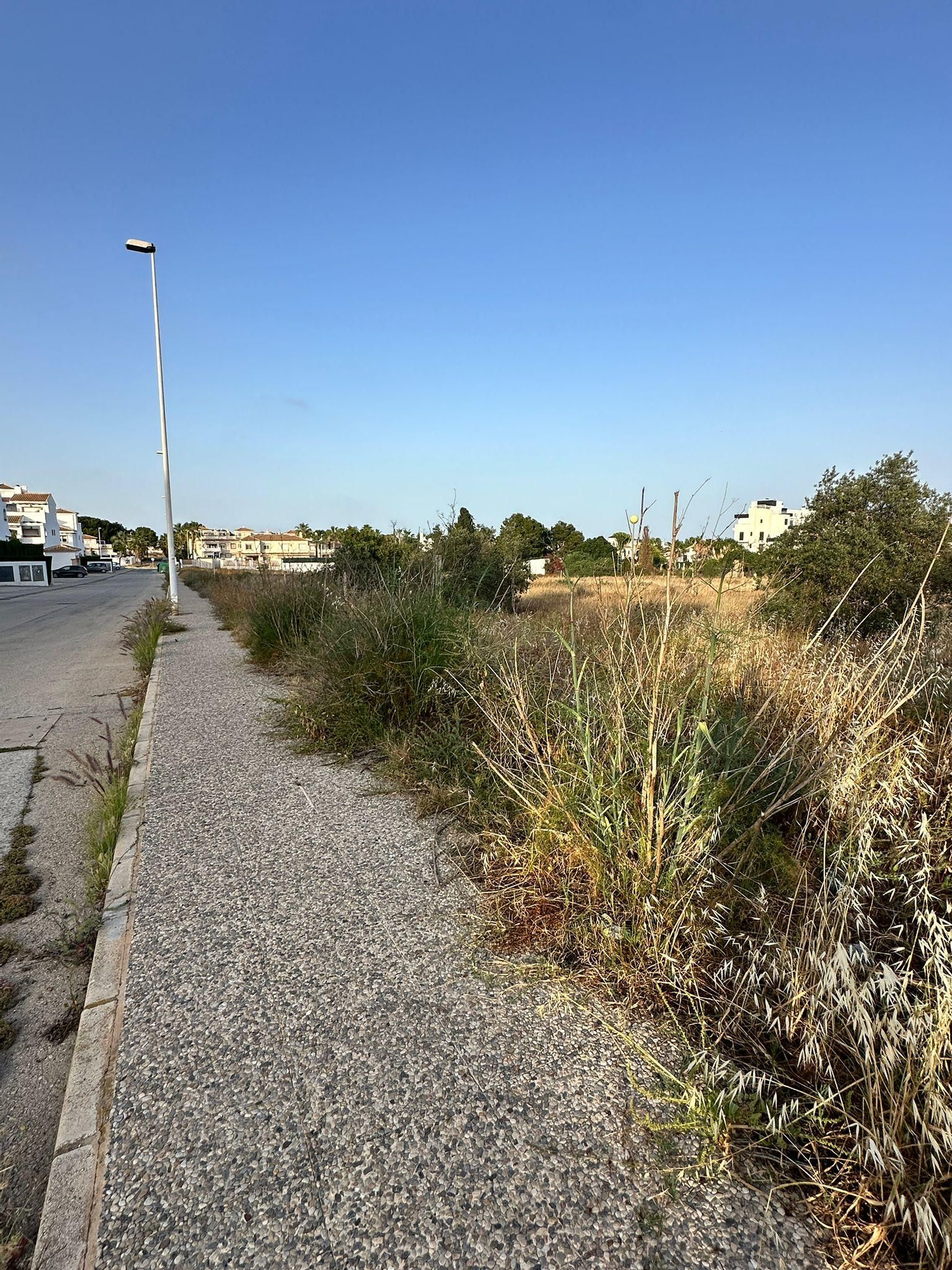 Una jungla sobre el asfalto de Orihuela Costa