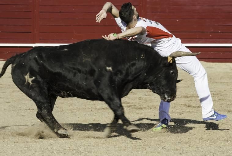 Concurso de cortes en la Plaza de Toros de Benaven